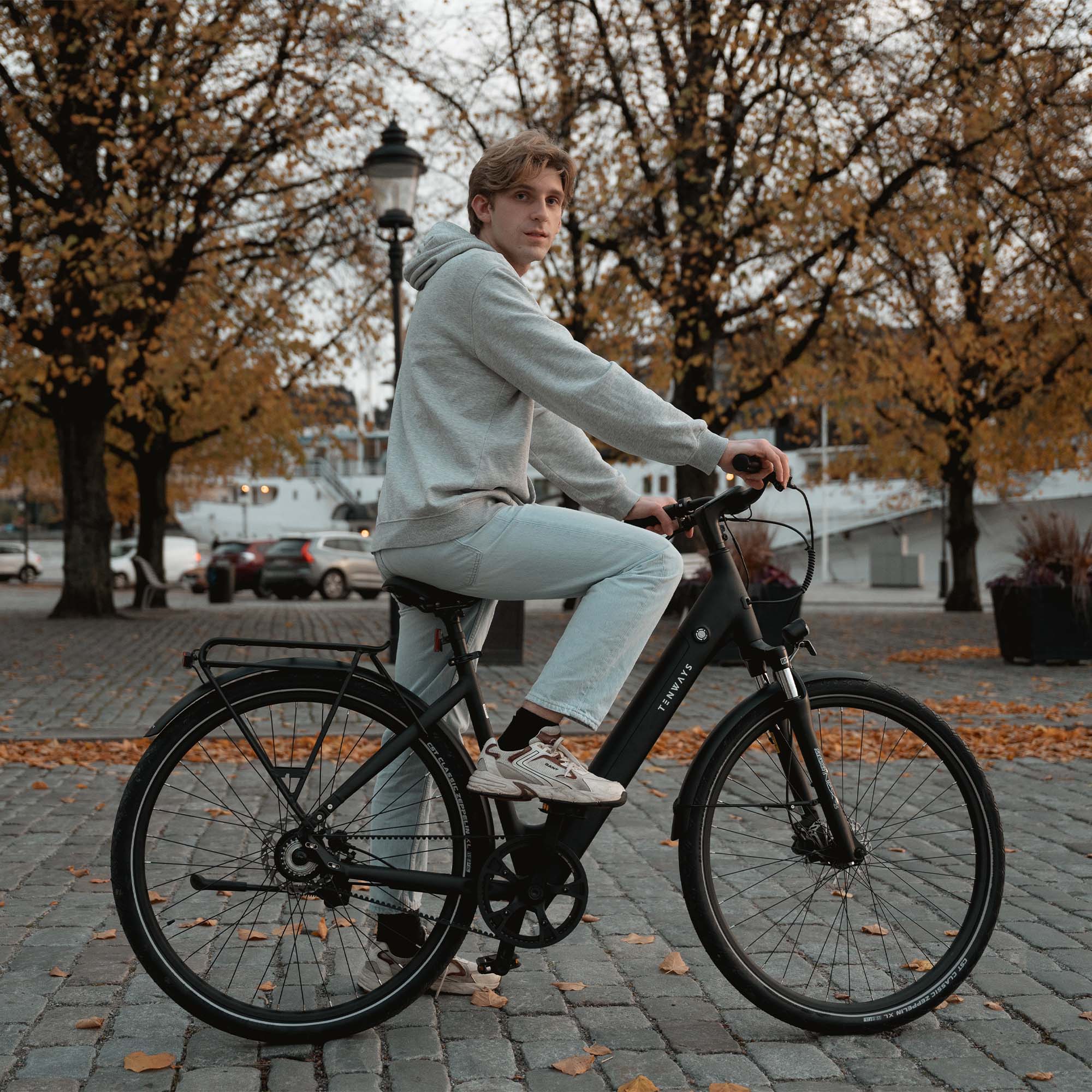 Tenways CGO800S Step-Through Electric Hybrid Bike - Image 13
